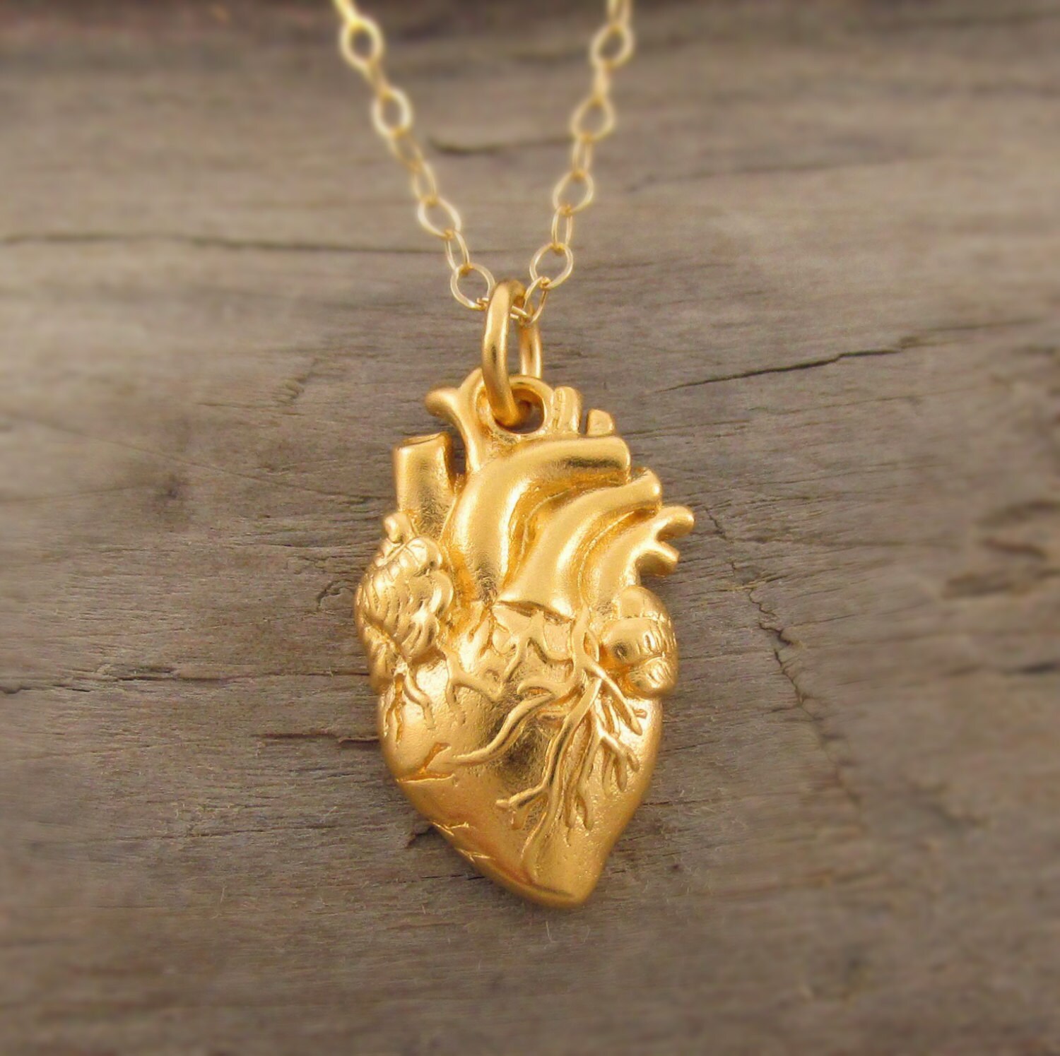 Gold Anatomical Heart Necklace Heart Organ Necklace Etsy