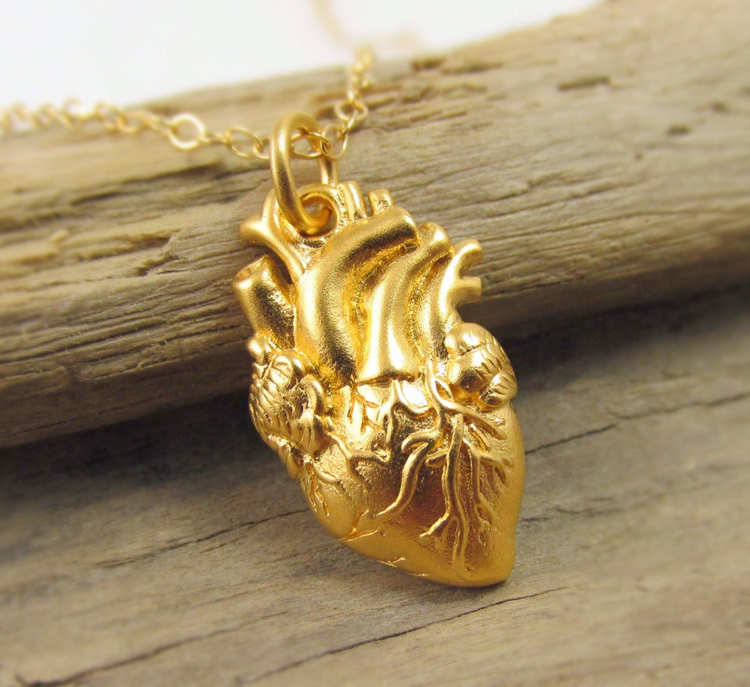 Gold Anatomical Heart Necklace Heart Organ Necklace Anatomically