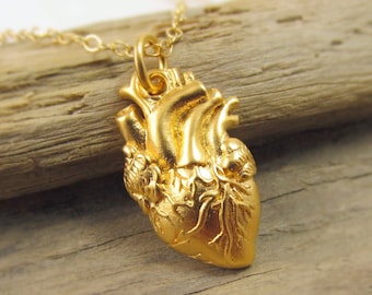 Anatomically correct heart sale locket