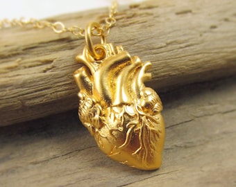 Gold Anatomical Heart Necklace Heart Organ Necklace Anatomically Correct Heart 24K Gold Plated Sterling Silver Anatomical Heart Charm