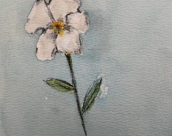 Weißes Immergrün | Original-Aquarell- und Tuschegemälde | Kunstwerk Nr. 944