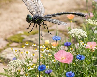 May include: A black dragonfly garden stake with translucent, veined wings and green eyes. The body features a segmented tail with yellow spots. The dragonfly is mounted on a thin, dark green metal rod, positioned above a garden of wildflowers.