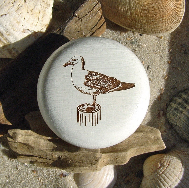 Furniture knob seagull maritim engraving Furniture button beech natural or white incl. screw furniture design image 1