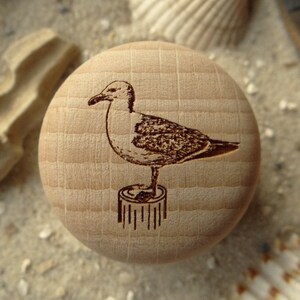 Furniture knob seagull maritim engraving Furniture button beech natural or white incl. screw furniture design image 2