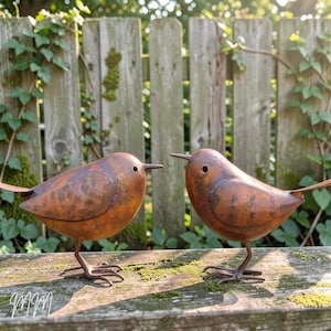 Metal Bird Garden Decor Set Of 2, Rustic Garden Bird Ornaments, Outdoor Yard Sculpture, Bird Statues Yard Sculpture Pair