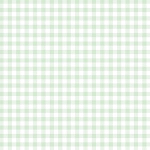 May include: A repeating pattern of light sage green and white squares forming a classic gingham check design. The grid consists of uniform, intersecting horizontal and vertical lines that create a consistent, balanced, and symmetrical checkered textile.