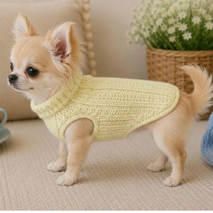 Puede incluir: Un perro pequeño de color claro con grandes ojos oscuros y orejas puntiagudas que lleva un suéter de punto sin mangas de color amarillo pálido. El suéter presenta un cuello alto acanalado y una textura acanalada vertical en toda la prenda.