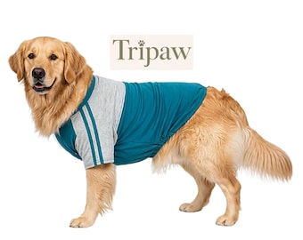 Camiseta de recuperación para perros de tres patas, camiseta para perros con amputación de pierna derecha