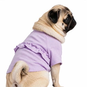 May include: A light purple short-sleeved pet shirt featuring a horizontal ruffle detail across the back. The garment is worn by a fawn-colored pug with a black muzzle, shown from a side profile view against a plain white background.