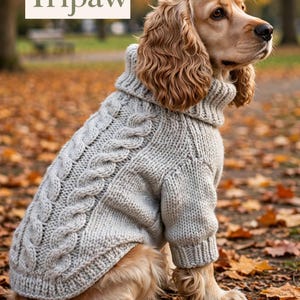 May include: A light gray cable-knit dog sweater with a high turtleneck collar worn by a golden-colored spaniel. The sweater features a prominent vertical braided cable pattern along the back and ribbed cuffs. The text Tripaw is visible.