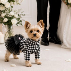 chihuahua bridesmaid dresses Chihuahua Pixie's Handmade Dresses