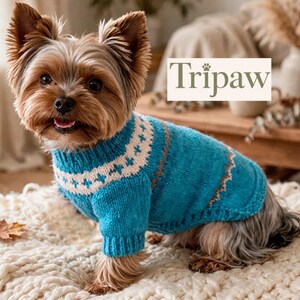 Puede incluir: Un pequeño perro Yorkshire Terrier lleva puesto un suéter de punto color turquesa brillante con un canesú blanco que presenta un patrón geométrico azul y el texto Tripaw impreso en un recuadro blanco sobre el lomo. El suéter tiene cuello acanalado.