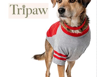 M Tripawd Recovery Shirt Right Leg Amputee Dog Tshirt Three legged Pet