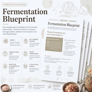 May include: A white informational document titled Fermentation Blueprint with dark brown text and icons. The guide outlines steps for fermentation, including food groups, recipes, and health benefits, featuring illustrations of cabbage and garlic.