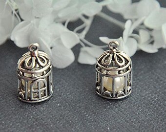 Cage à Oiseaux Ancienne Etsy