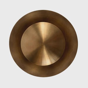 Puede incluir: Un objeto circular con un acabado en bronce met&aacute;lico, que presenta una secci&oacute;n central elevada, lisa y ligeramente abombada, rodeada por un borde exterior circular m&aacute;s ancho y plano. La superficie muestra una textura cepillada sutil.