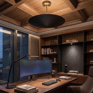 May include: A large, matte black, disc-shaped pendant light fixture with a brass-toned ceiling mount hangs above a wooden desk. The desk features a curved computer monitor, a black keyboard, a computer mouse, and stacks of books.