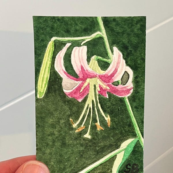ACEO Pintura en miniatura original en acuarela
