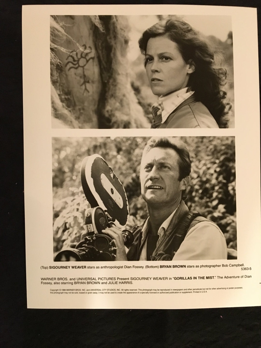 Gorillas in the Mist, Movie Promotional Photo With Sigourney Weaver and ...