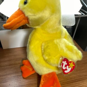 Quakers the Beanie Buddy Duck.