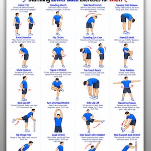 以下が含まれることがあります： Standing Lower Back Exercises for Menというタイトルのデジタルエクササイズチャート。青いシャツと黒いショートパンツを着用した16人のイラストが、様々なストレッチや動作を実演しており、各エクササイズのテキストによる説明が記載されています。