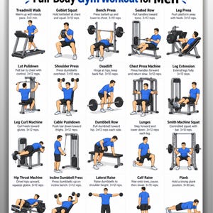 Op de afbeelding: Een wit informatieposter getiteld Full-Body Gym Workout for Men met twintig illustraties van een persoon in een blauw shirt en zwarte korte broek die diverse oefeningen uitvoert met fitnessapparatuur, inclusief instructies en herhalingen.