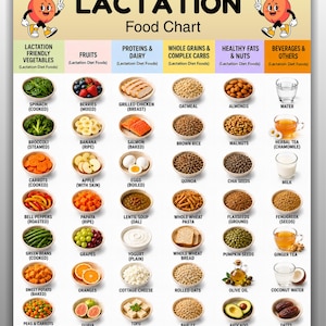 May include: A Lactation Food Chart poster with the text US LETTER | A4 | Instant Download. The chart features six columns of food categories including vegetables, fruits, proteins, grains, fats, and beverages, each with labeled illustrations.