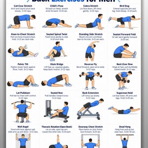 May include: A digital chart titled Back Exercises for Men featuring twenty illustrated figures in blue shirts and black shorts demonstrating various stretches and strength movements with instructional text for each exercise, available in US Letter and A4 sizes.