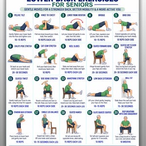 May include: A white instructional poster titled Lower Back Exercises for Seniors featuring twenty numbered illustrations of a person in a green shirt and blue shorts performing various physical movements with text instructions and repetition counts.