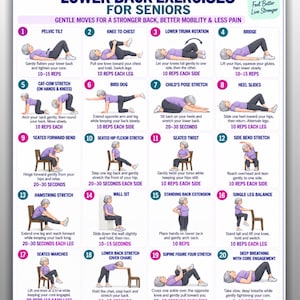 May include: A digital chart titled Lower Back Exercises for Seniors featuring twenty numbered illustrations of a person in a purple shirt and grey pants performing various stretches and movements with instructional text for each exercise.