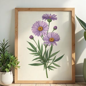 Può includere: Una stampa botanica incorniciata che raffigura un gruppo di fiori di astro viola con centri gialli, steli verdi e foglie strette. L'illustrazione è su uno sfondo color crema all'interno di una cornice in legno chiaro.