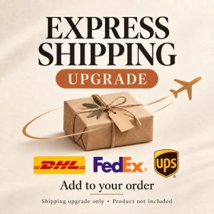 Express Shipping Upgrade – DHL, FedEx or UPS | Expedited Delivery Add-On