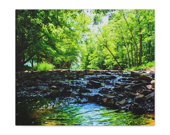 Canvas Wall Art for Living Room, Bedroom, Waiting Rooms, and Hallways Creek Green Rocky Waterfall