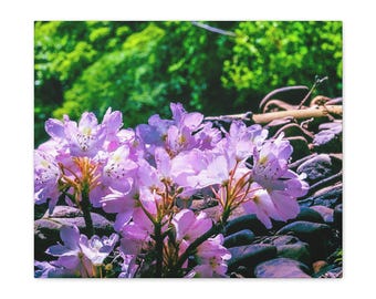 Canvas Wall Art for Entryway, Living Room, Bedroom, and Office Mountain Rosebay