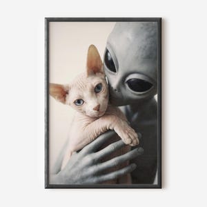 May include: A framed wall art print featuring a grey extraterrestrial figure with large black eyes holding a light pink Sphynx cat with bright blue eyes. The alien has long, slender grey fingers that gently cradle the hairless cat against its chest.