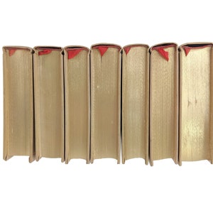Pode incluir: Uma fila de sete livros antigos de capa dura com marcadores de fita vermelha. Os livros s&atilde;o todos do mesmo tamanho e est&atilde;o dispostos em uma fila sobre um fundo branco.