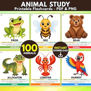 Puede incluir: Un conjunto de tarjetas educativas imprimibles sobre animales con ilustraciones de una rana, abeja, oso, caimán, langosta y loro. Cada tarjeta incluye el nombre, esperanza de vida, tamaño y clasificación. El texto incluye ANIMAL STUDY.