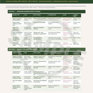 Wundauflagen-Auswahl Spickzettel | Nurse Klinische Referenz (PDF-Download)