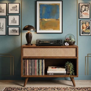 Op de afbeelding: Een houten mediameubel met een front van rotan vlechtwerk, voorzien van een zwarte platenspeler, een donkere metalen lamp, een glazen terrarium met vetplanten en boeken met de titels The Bauhaus Essentials, Kinfolk Home en Jazz Life op de planken.