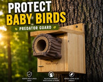 Protector contra depredadores para casitas de pájaros / Tamaños pequeño, grande y personalizados / Protector con aspecto de madera para aves que anidan