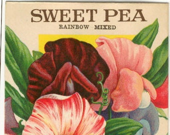 SWEET PEA (Rainbow Mixed)*Original Vintage Flower Seed Packet* *No Seeds* Lithograph