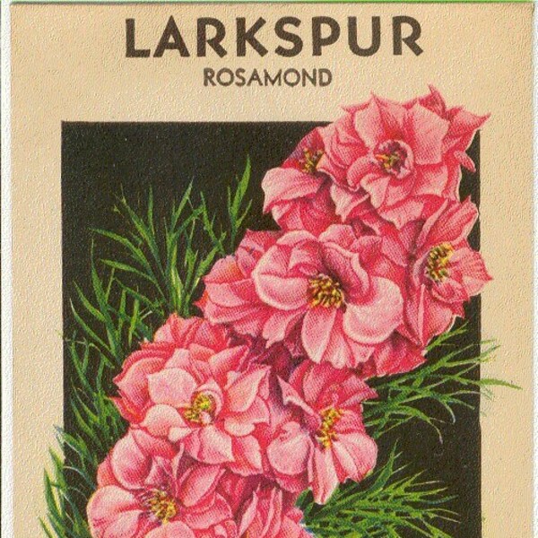 Vintage Flower Seed Packet LARKSPUR (ROSAMOND)  *No Seeds*