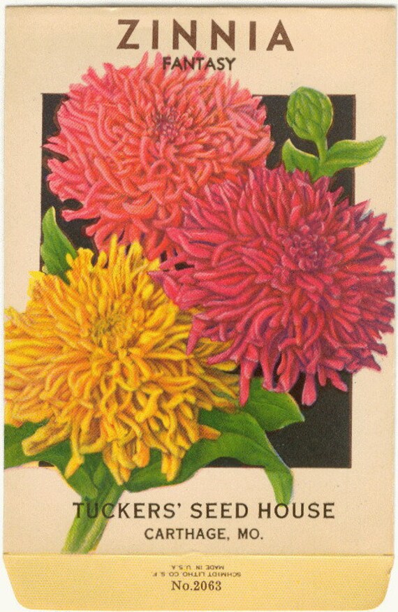 ZINNIA FANTASY Vintage Flower Seed Packet no Seeds Original ...