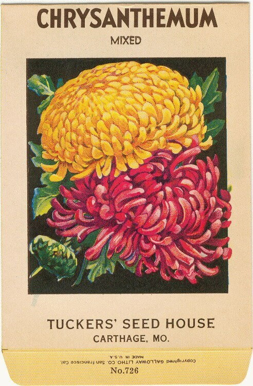 Vintage Seed Packet Postcards - Pack of 12