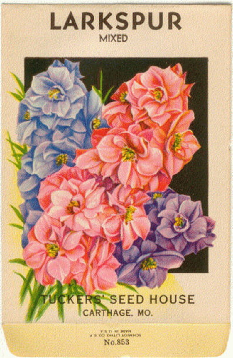 LARKSPUR DELPHINIUM Original Vintage Flower Seed Packet no | Etsy
