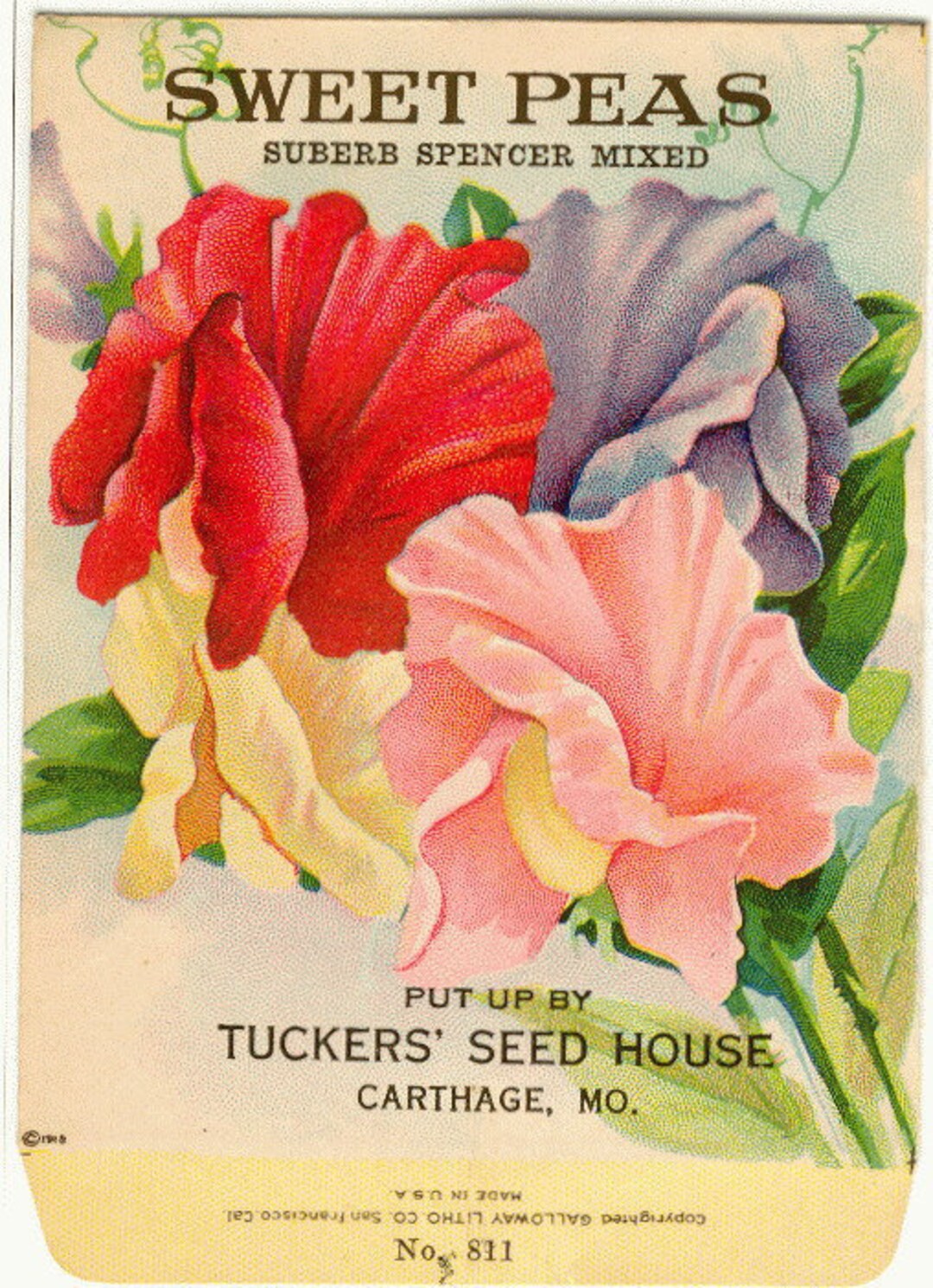 SWEET PEA Vintage Flower Seed Packet no Seeds Original - Etsy