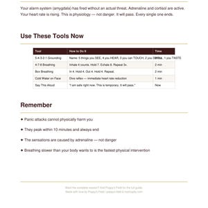 Panic Attack Quick Reference Card | Grounding Breathwork Calm Scripts | PDF Download image 4