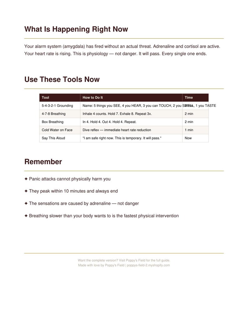Panic Attack Quick Reference Card | Grounding Breathwork Calm Scripts | PDF Download image 4