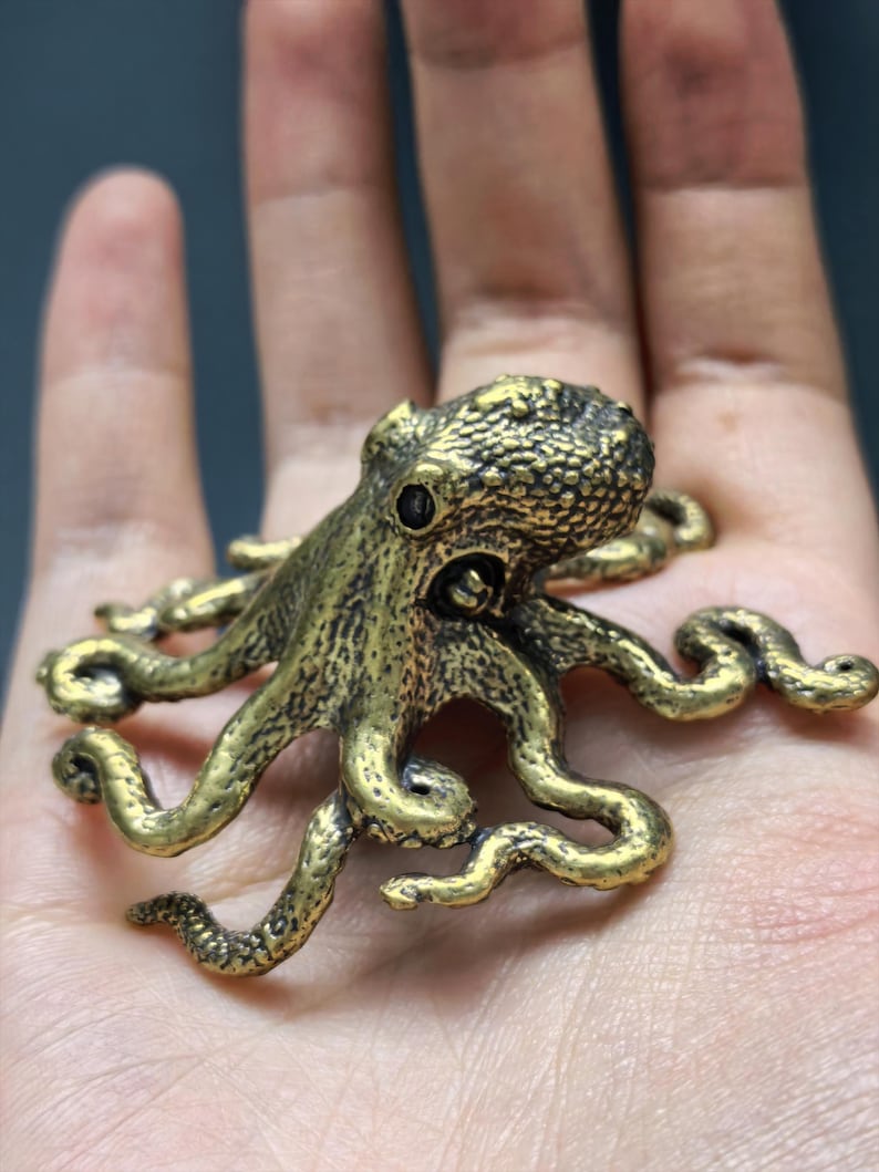 May include: A small, three-dimensional brass octopus figurine with a textured, bumpy surface and dark, recessed detailing. The octopus has a rounded head, prominent eyes, and multiple curved, sprawling tentacles extending outward in all directions.