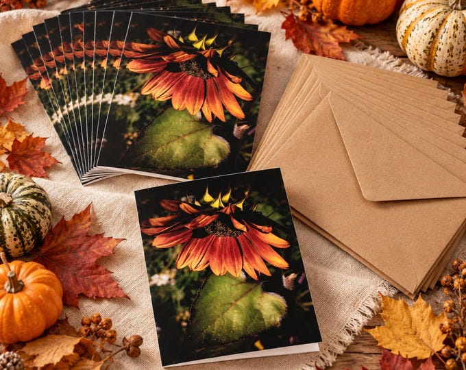 Autumn Sunflower Greeting Cards | Original Botanical Photography (Set of 10)